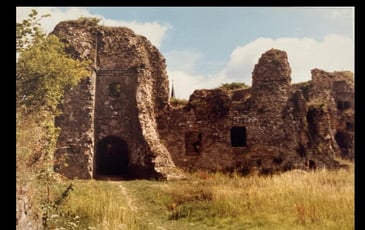 Plongez-vous dans la visite d'un château médiéval
