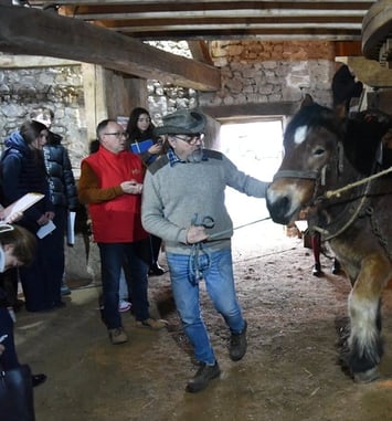 Visite guidée d'un pressoir unique en France