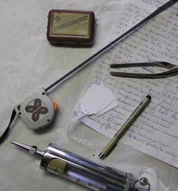 Atelier au musée de l'hôpital