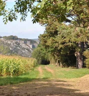 Visite de la Tour Grégoire et du Mont d'Haurs