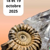 Bourse Exposition internationale Minéraux Fossiles