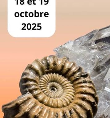 Bourse Exposition internationale Minéraux Fossiles