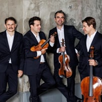 Musique - Quatuor Modigliani